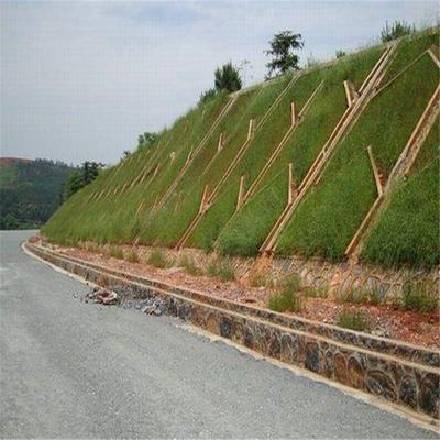 邊坡綠化工程 公路工程建筑的生態屏障與美學融合